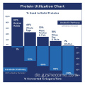 Premium -Aminosäure -Tabletten unterstützen die Muskelstärke